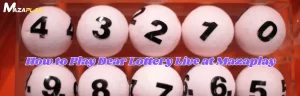 dear lottery live