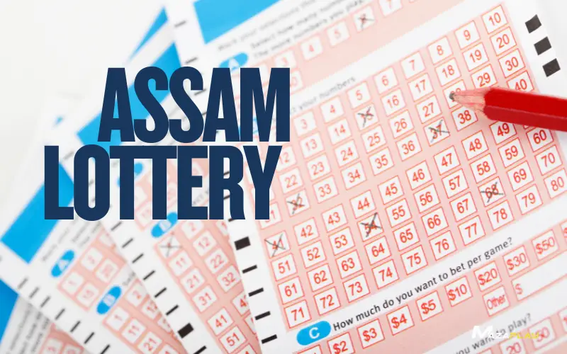 Assam Lottery